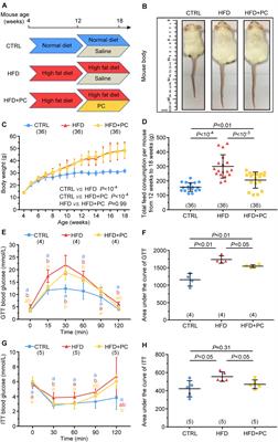 Phycocyanin Improves Reproductive Ability in Obese Female Mice by Restoring Ovary and Oocyte Quality